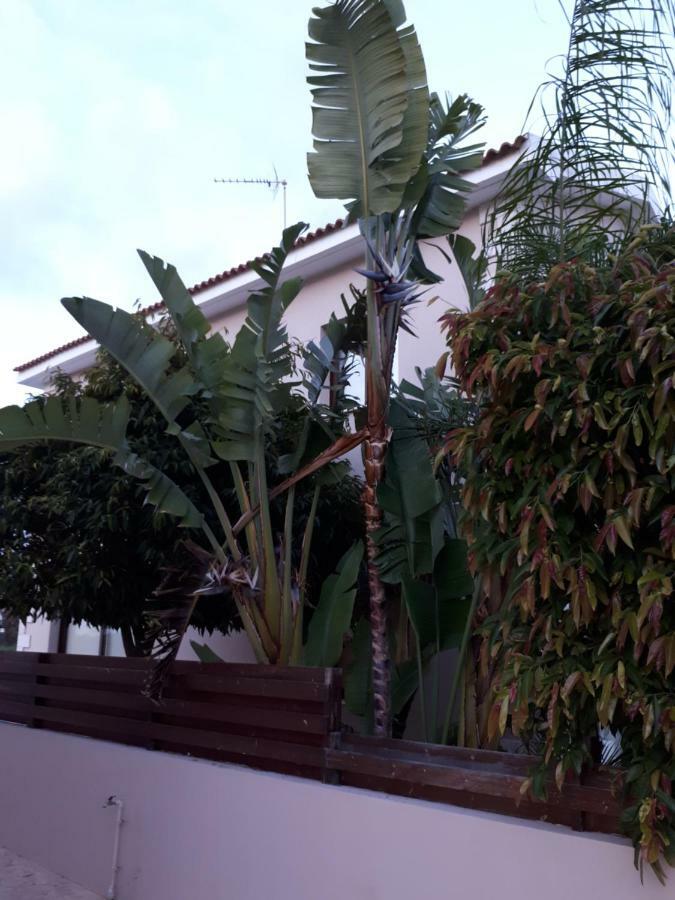 Marias Villa Протарас Екстериор снимка